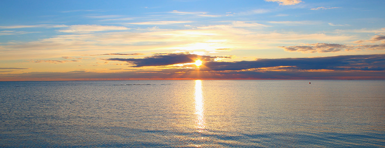 Bassoe Analytics and Greenpact Data merge into Esgian